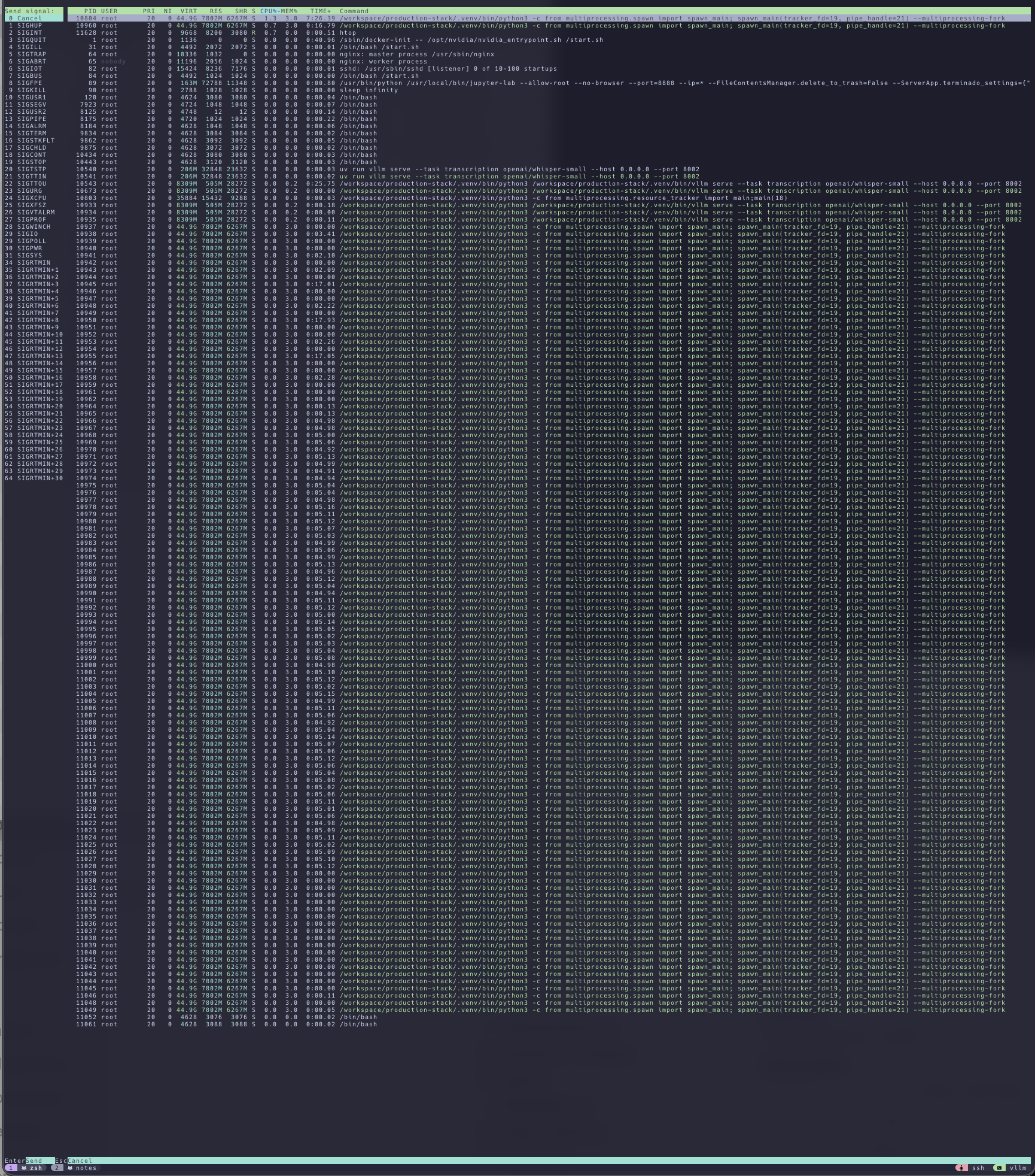vllm processes